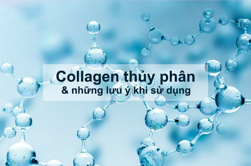 Collagen thủy phân và những lưu ý khi sử dụng